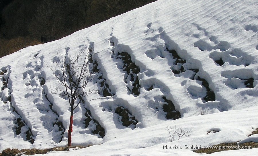 21 Fratture di neve.JPG